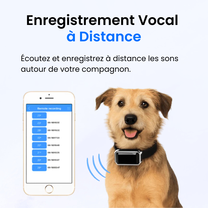 Tracker pour Chien Sans Abonnement