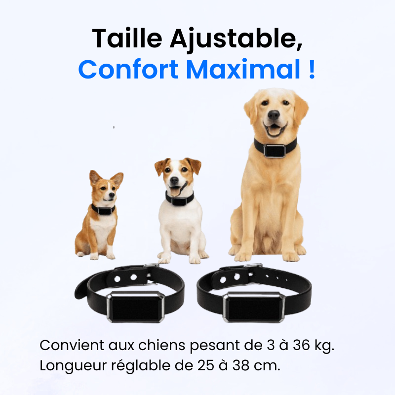 Tracker pour Chien Sans Abonnement