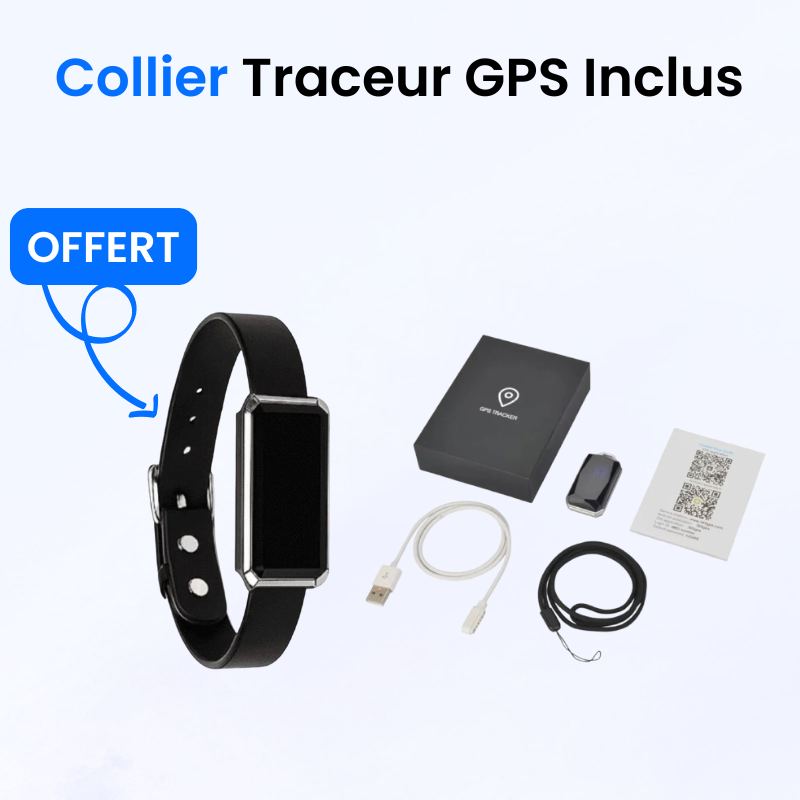 Tracker pour Chien Sans Abonnement