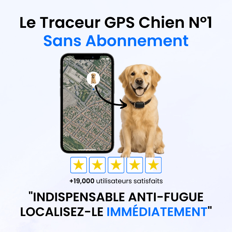 Tracker pour Chien Sans Abonnement