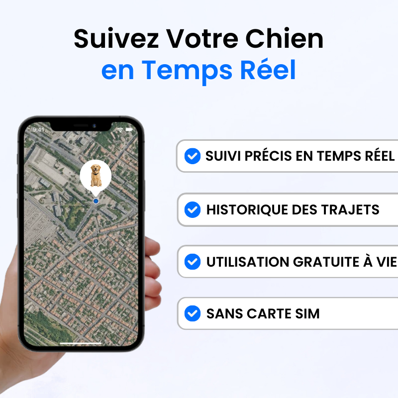 Tracker pour Chien Sans Abonnement