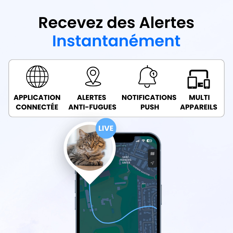 Tracker pour Chat Sans Abonnement