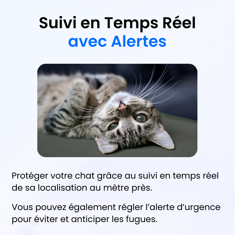 Tracker pour Chat Sans Abonnement