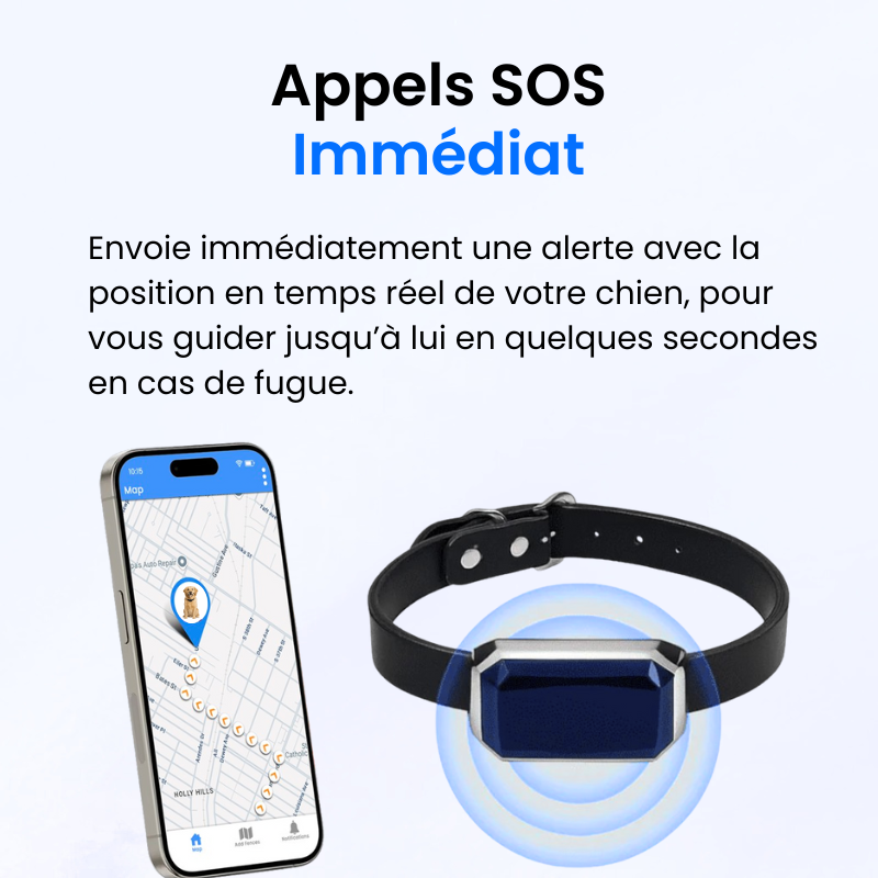 Tracker pour Chien Sans Abonnement